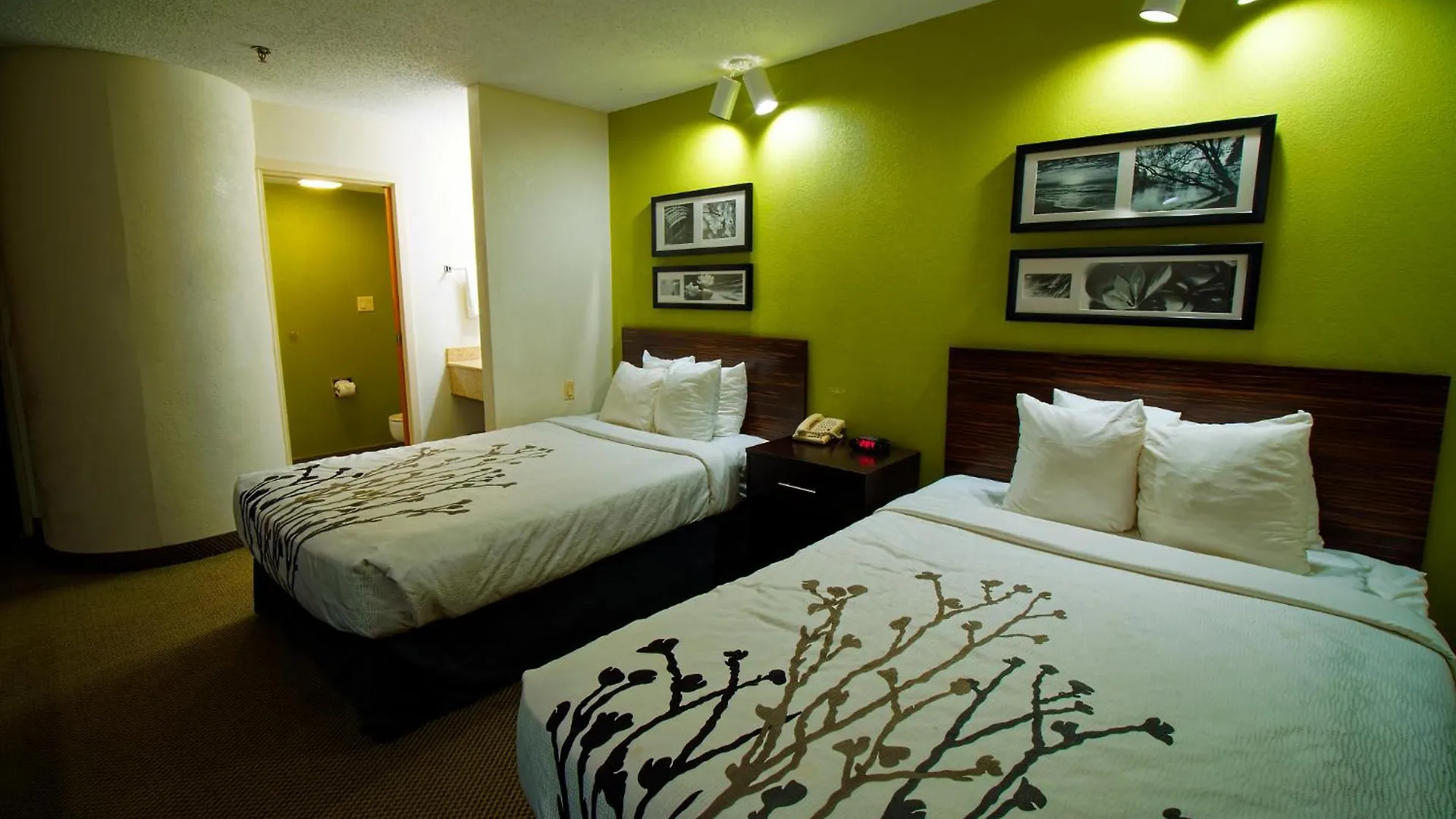4 Sleep Inn Hotels in Blue Ridge Mountains Worth Booking